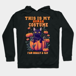 This Is My Human Costume I'm Really A Cat Pumkin Halloween Hoodie